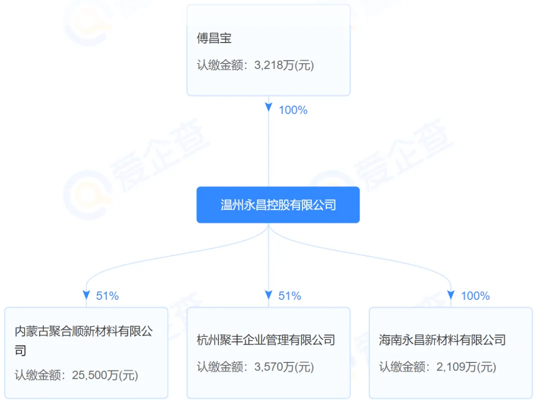 45万吨年己内酰胺一体化项目开工(图2)