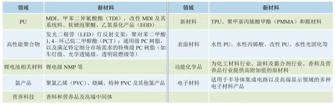 重点推荐 我国化工新材料的发展机遇与建议(图2)